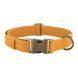 Нашийник Bronzedog Antiq - золотий XL Bronzedog Antiq Collar - gold фото 1