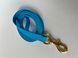 Leash Cobra 2m*15mm blue