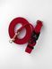 Leash Cobra 2m*15mm red