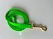 Leash Cobra 2m*15mm light green