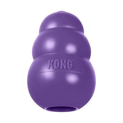 Toy KONG Senior pear-feeder for senior dogs of small breeds, S