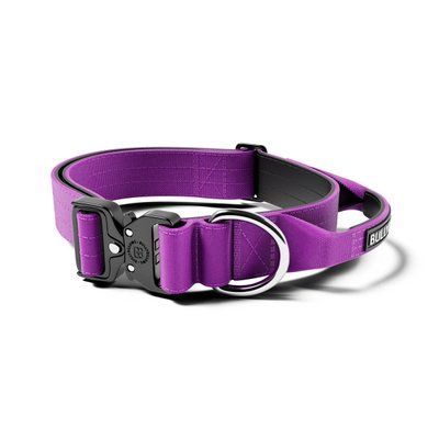 BullyBillows Combat Collar - purple S