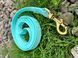 Leash Cobra 2m*15mm pale blue