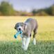 KONG Goodie Bone Puppy Chew Toy - for puppies S