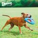 Chuckit! Fetch Flight Frisbee &ndash; Soft Triangular Dog Frisbee, &Oslash;27 cm