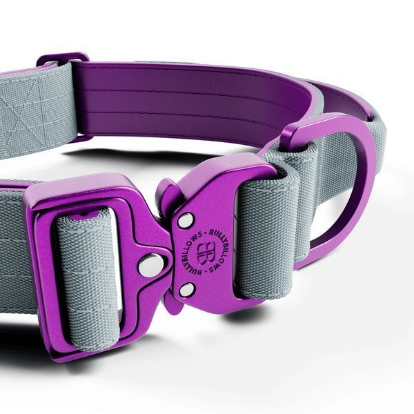 BullyBillows Combat Lighter Collar - grey XS