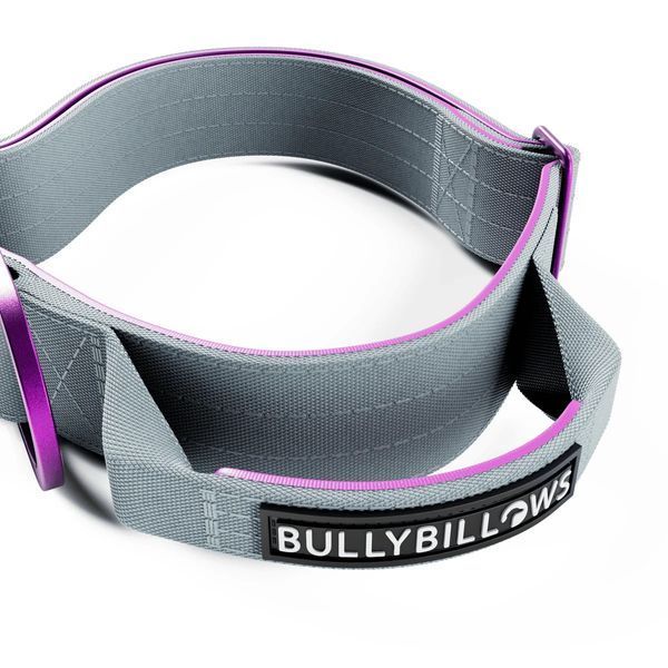BullyBillows Combat Lighter Collar - grey XS