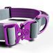 BullyBillows Combat Lighter Collar - grey XS