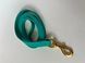 Leash Cobra 2m*15mm turquoise