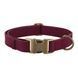 Bronzedog Antiq Collar - burgundy